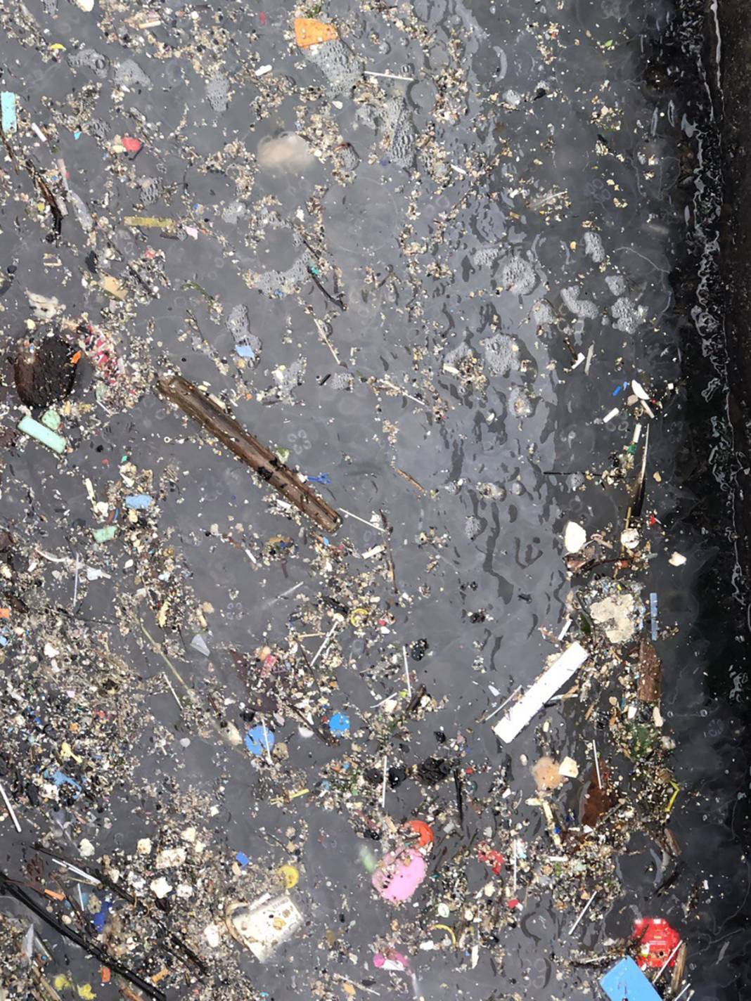 Depremden sonra ikinci tehlike! Marmara Denizi'nde korkutan istila 1